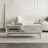Devon Rectangular Coffee Table with Drawers - 4 Colours