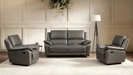 Gray leather sofa set in a living room setting with a lamp and decorative plant.